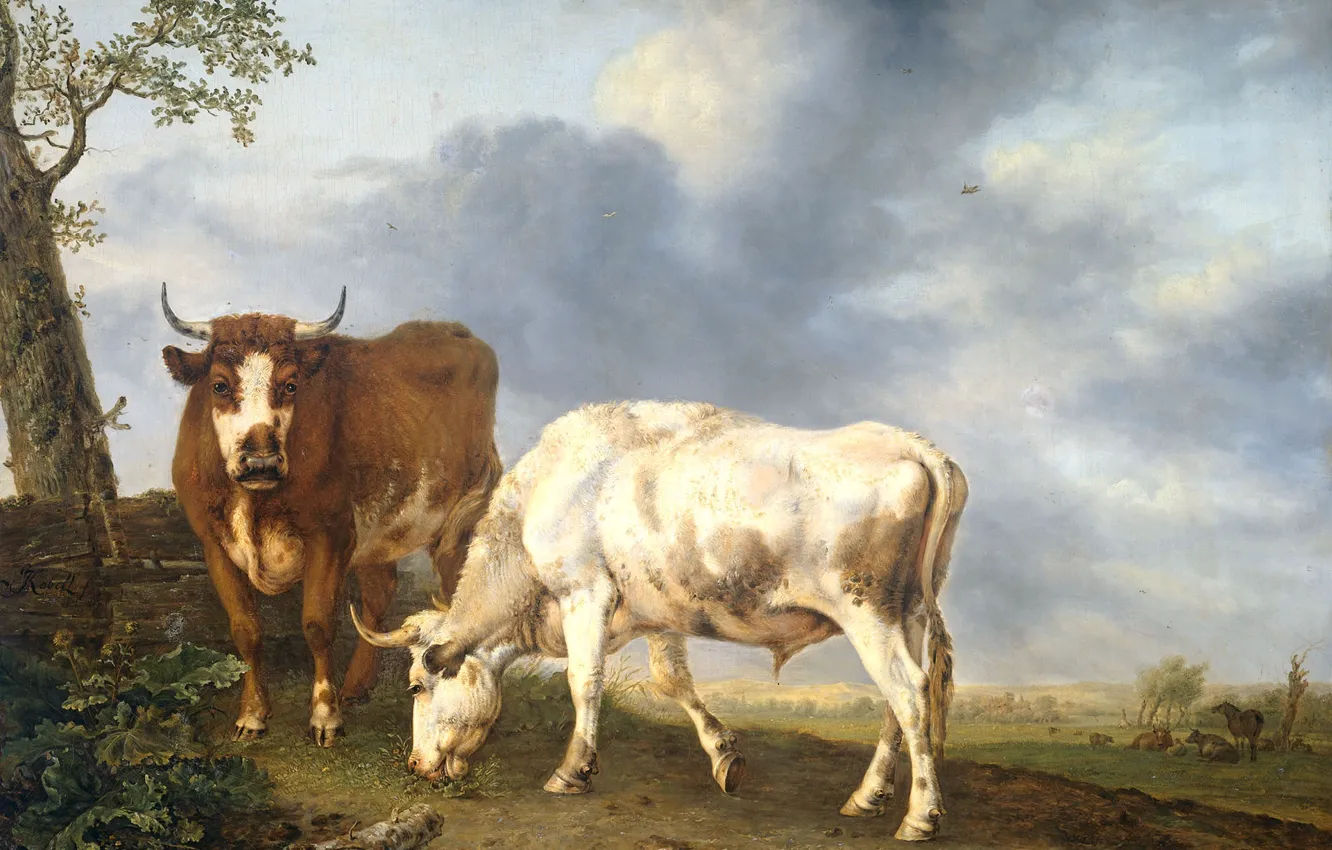 Photo wallpaper animal, oil, picture, canvas, Yang Cobell, Oxen in the Meadow