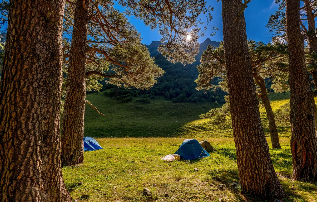 Photo wallpaper trees, landscape, mountains, nature, tent, The Caucasus, tourists