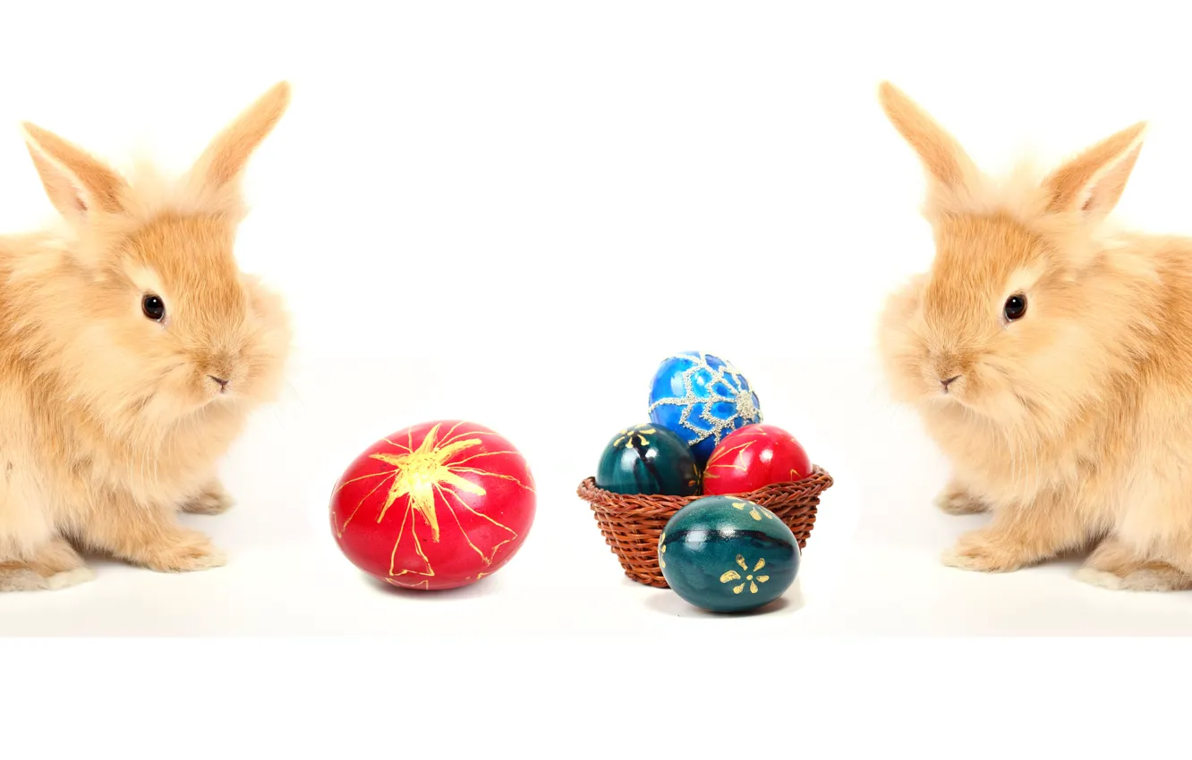 Photo wallpaper egg, Easter, pair, rabbits, easter