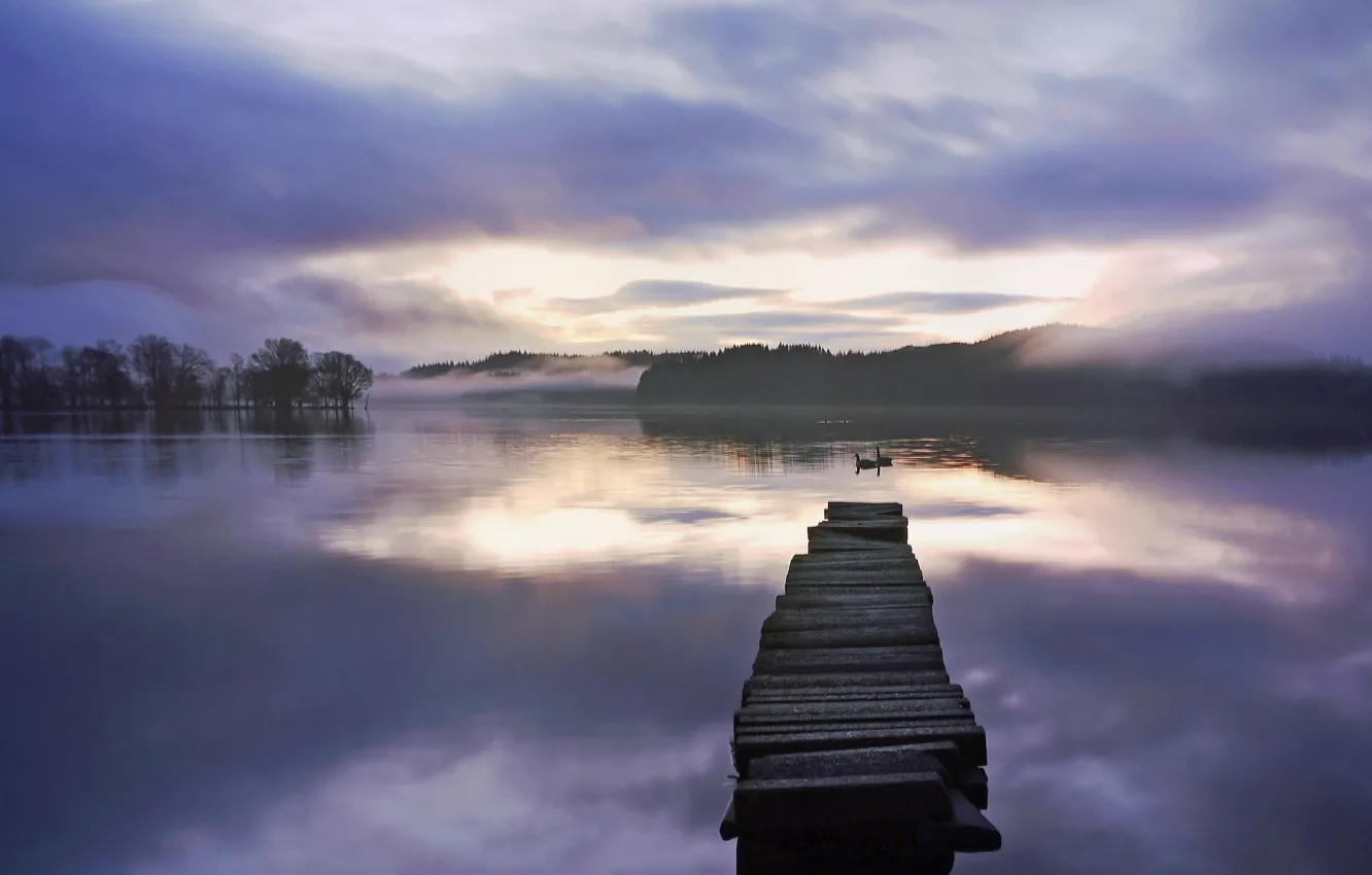 Photo wallpaper forest, fog, lake, dawn, the bridge, swans