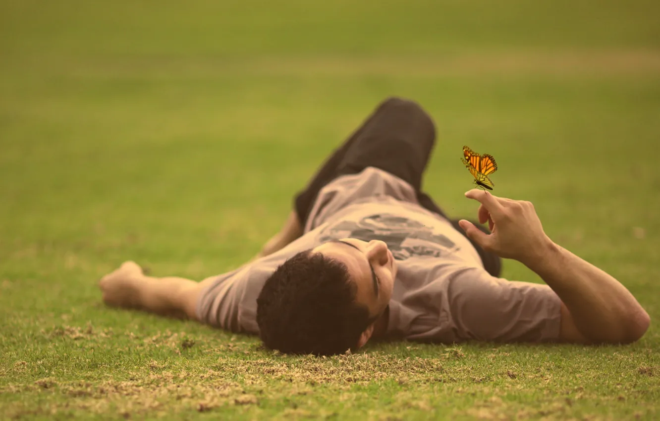 Photo wallpaper grass, field, butterfly, man, lying down