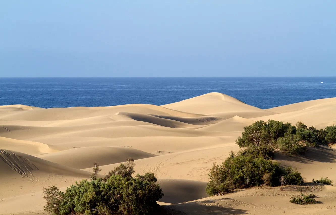 Photo wallpaper sand, the sky, landscape, nature, the dunes, the ocean, desert, plant