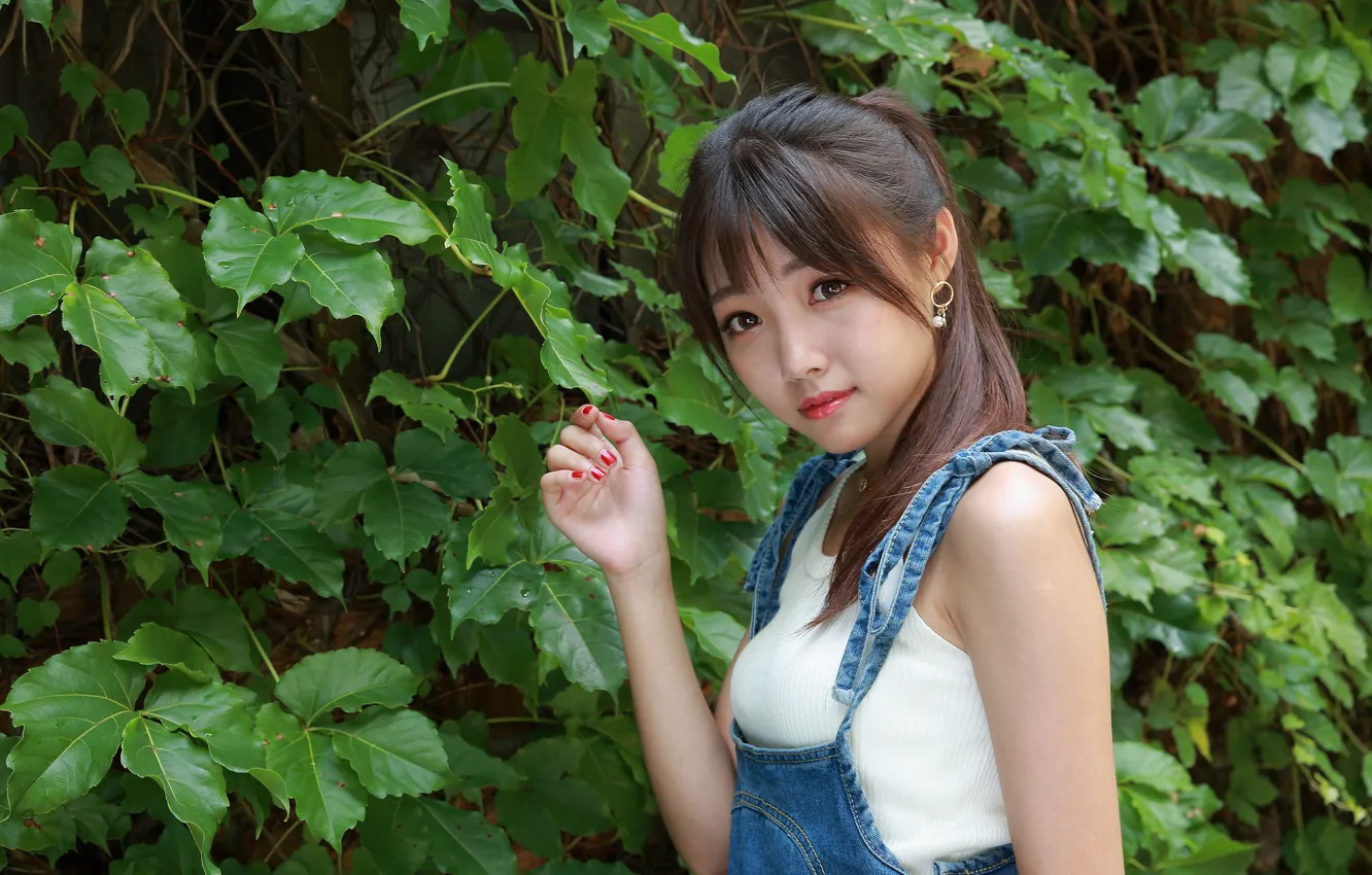 Photo wallpaper look, leaves, branches, Asian, cutie