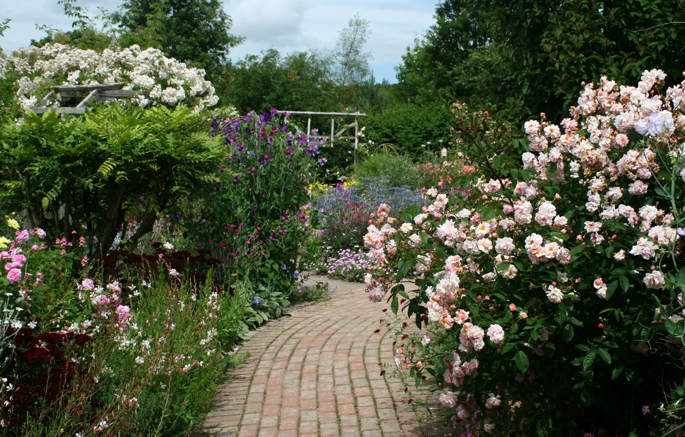 Photo wallpaper flowers, England, roses, garden, track, the bushes, Rosemoor Rose Garden