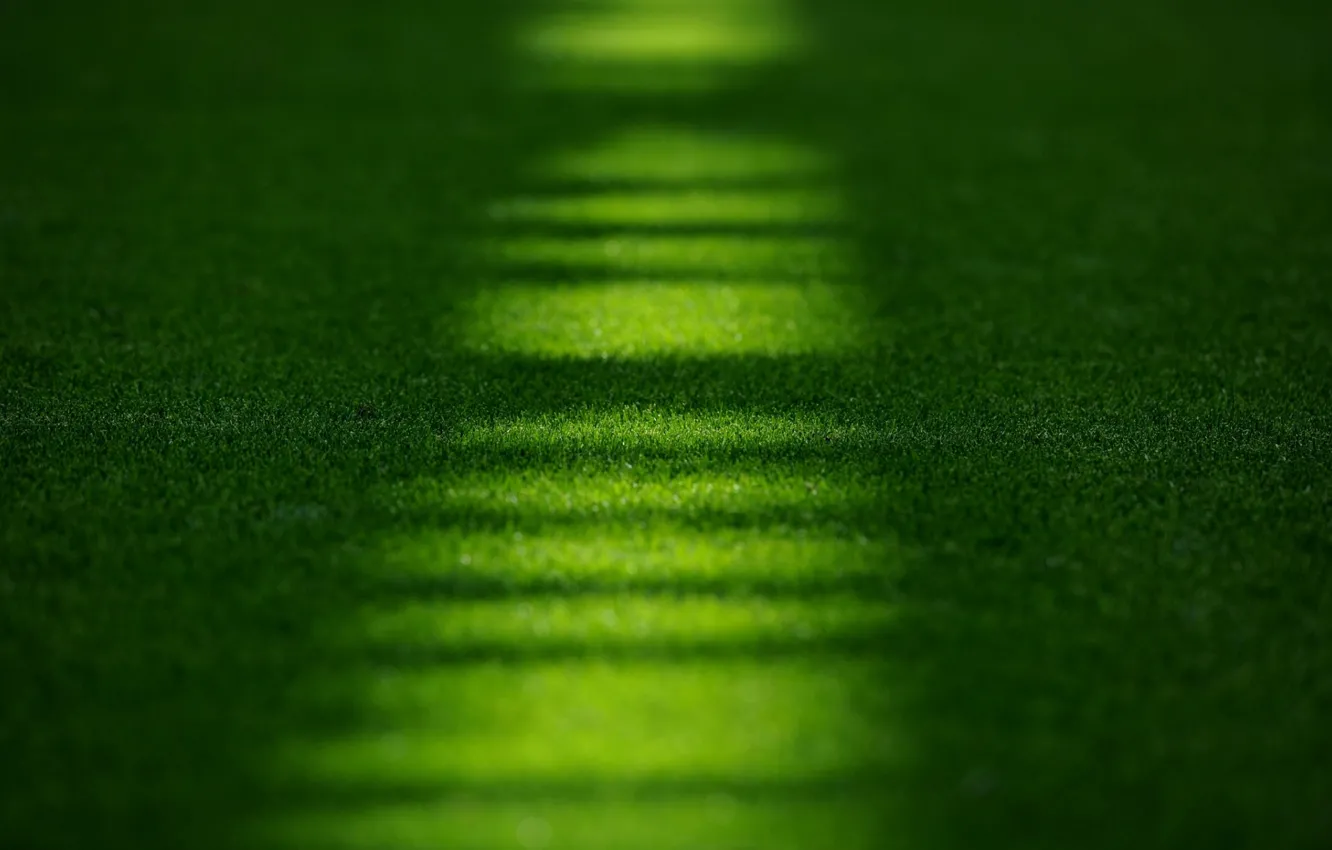 Photo wallpaper field, grass, macro, lawn, stadium, Emirates, Stadium, Emirates
