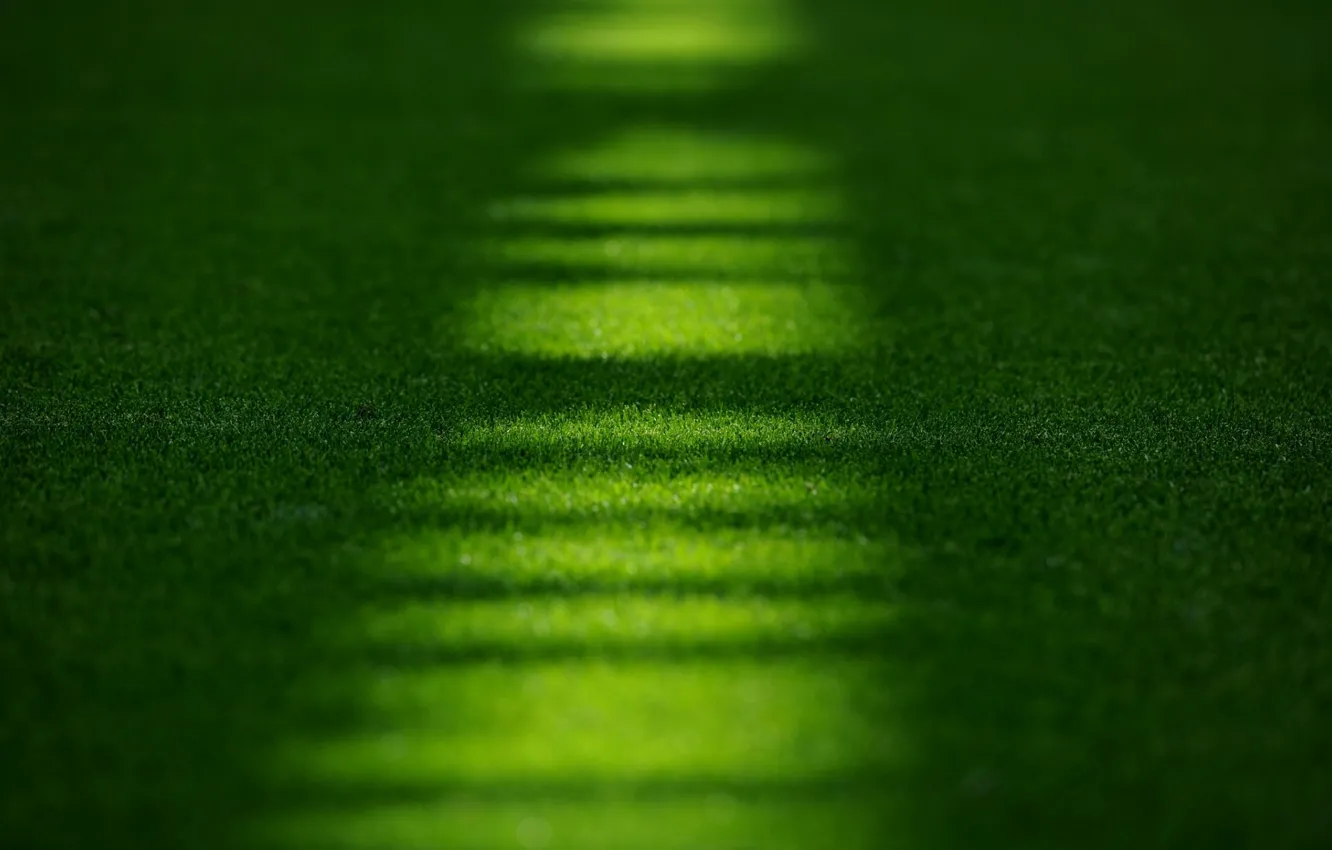 Photo wallpaper field, grass, macro, lawn, stadium, stadium, Emirates, Emirates