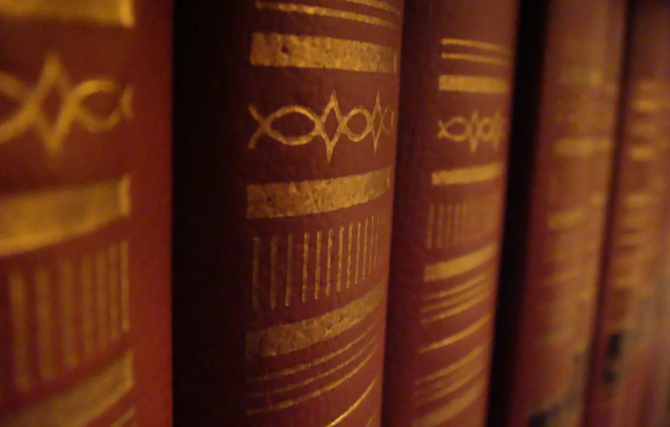 Photo wallpaper cover, book, library, cover, shelf of books