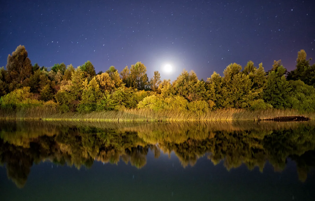 Photo wallpaper stars, reflection, mirror, moonlight, trees lake