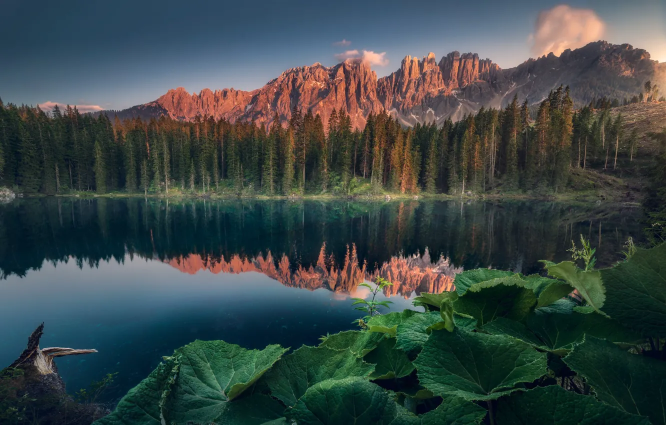 Photo wallpaper lake, reflection, mountains, rocks, forest, leaves