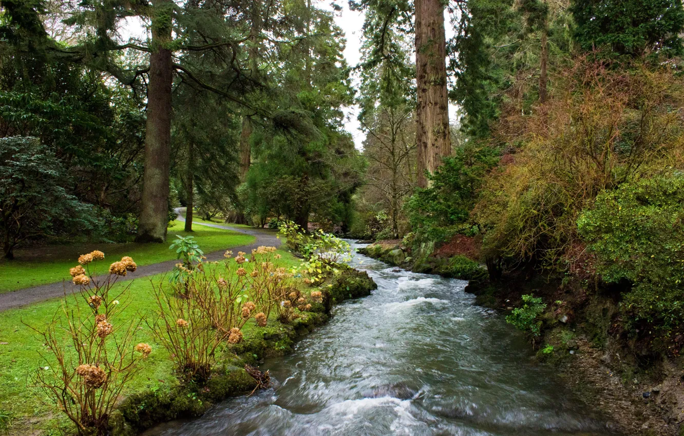 Photo wallpaper trees, Park, stream, for, UK, path