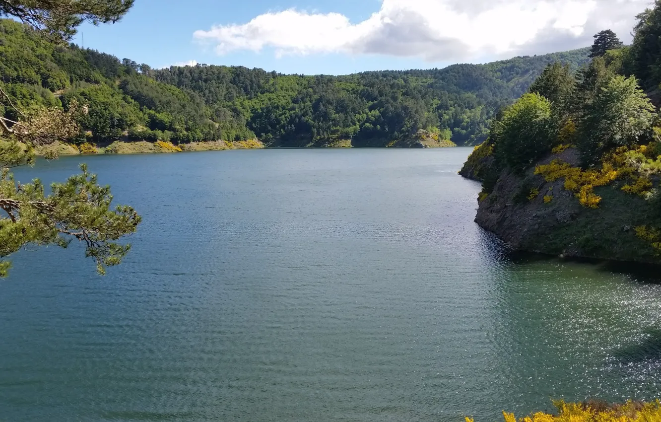 Photo wallpaper trees, landscape, Italy, lake, Calabria, Aspromonte National Park, Aspromonte