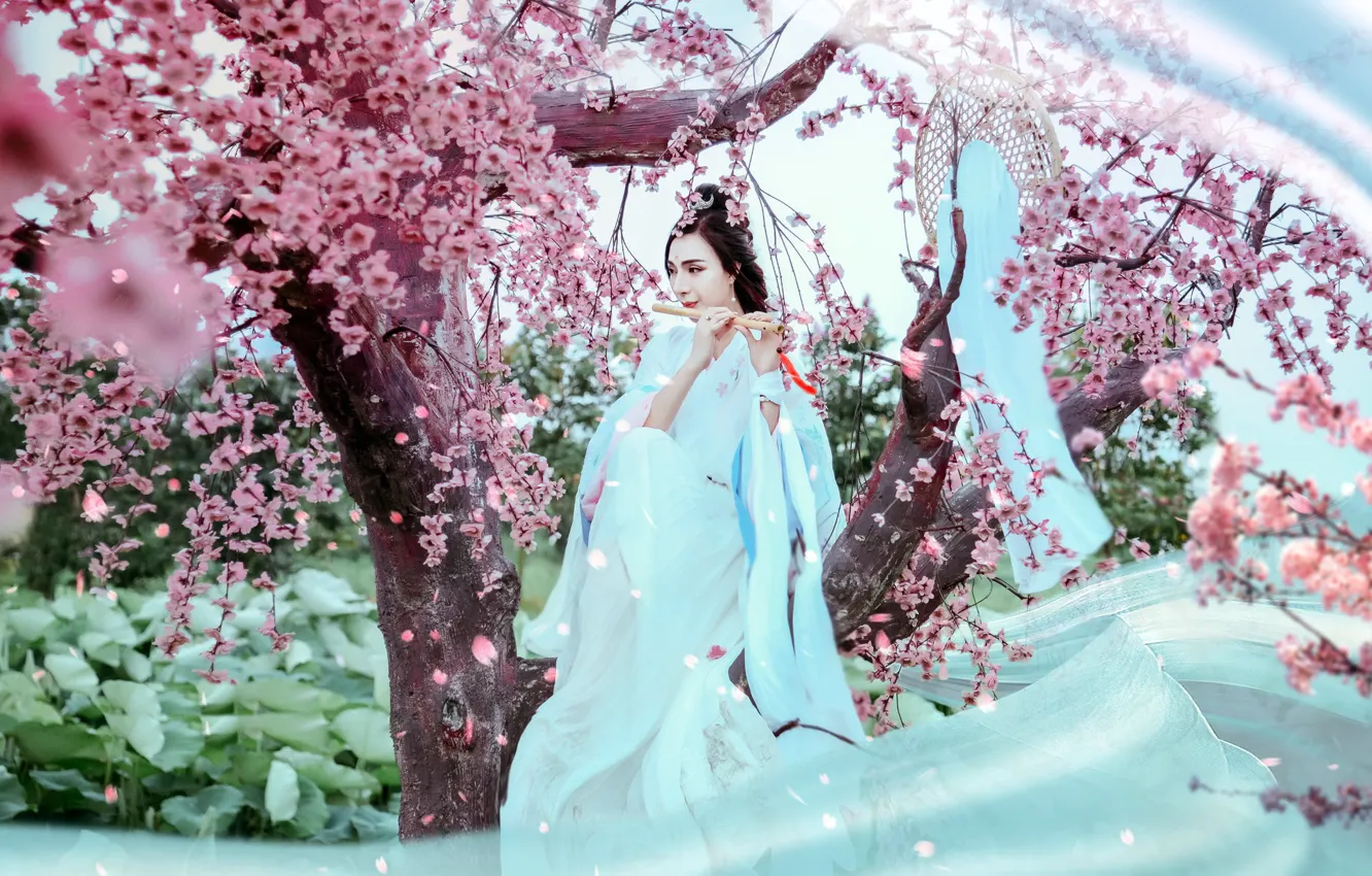 Photo wallpaper girl, music, garden