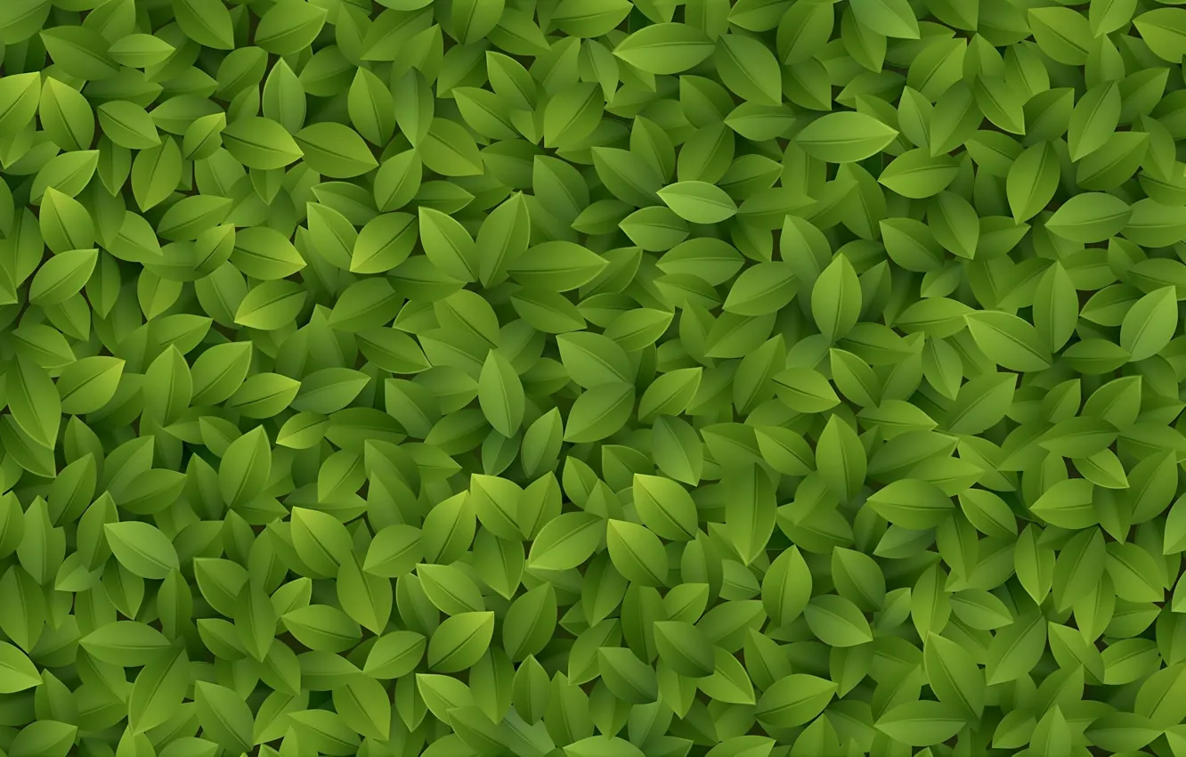 Photo wallpaper green, nature, leaf