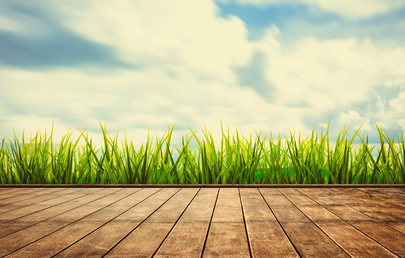 Photo wallpaper summer, the sky, grass, the sun, green, summer, grass, sunshine