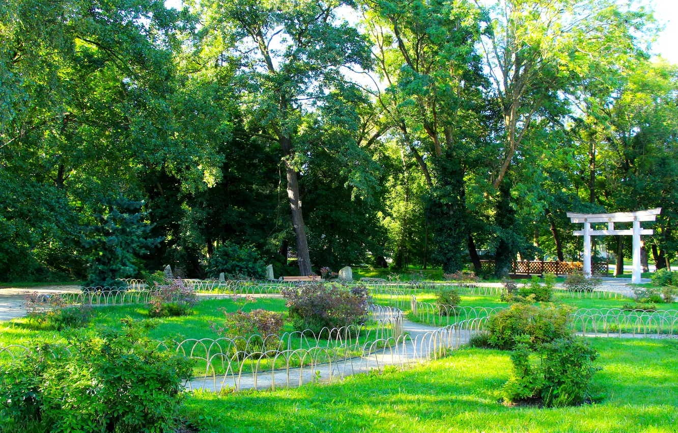 Photo wallpaper park, garden, plants, alley