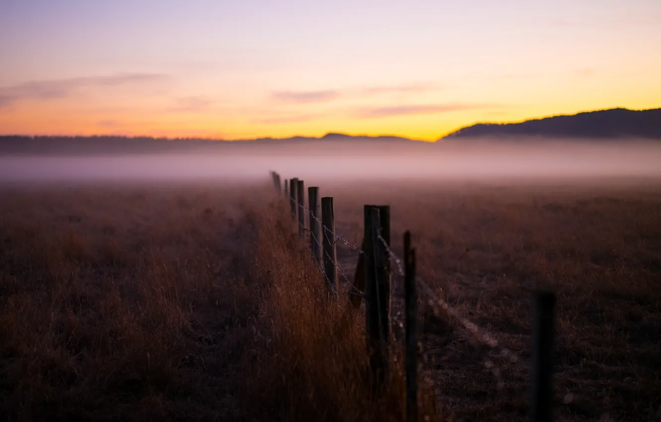Photo wallpaper nature, fog, background, Wallpaper, plant, blur, the fence, wallpaper