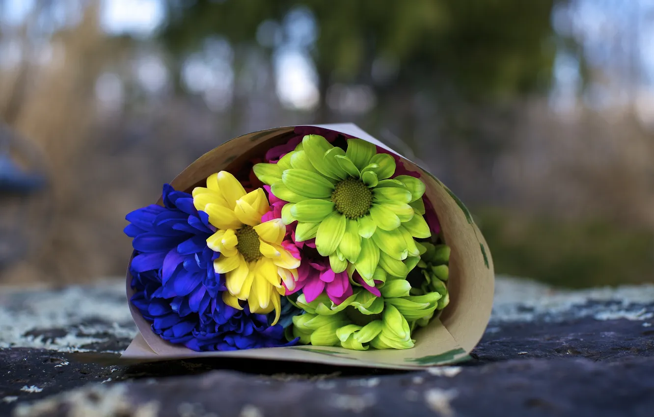 Photo wallpaper flowers, blue, yellow, green, background, widescreen, Wallpaper, bouquet