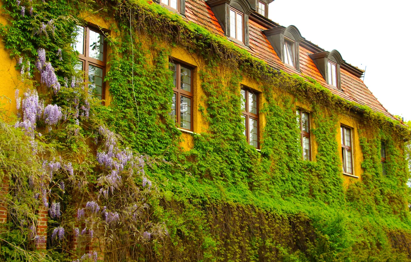 Photo wallpaper green, house, park, garden, spring