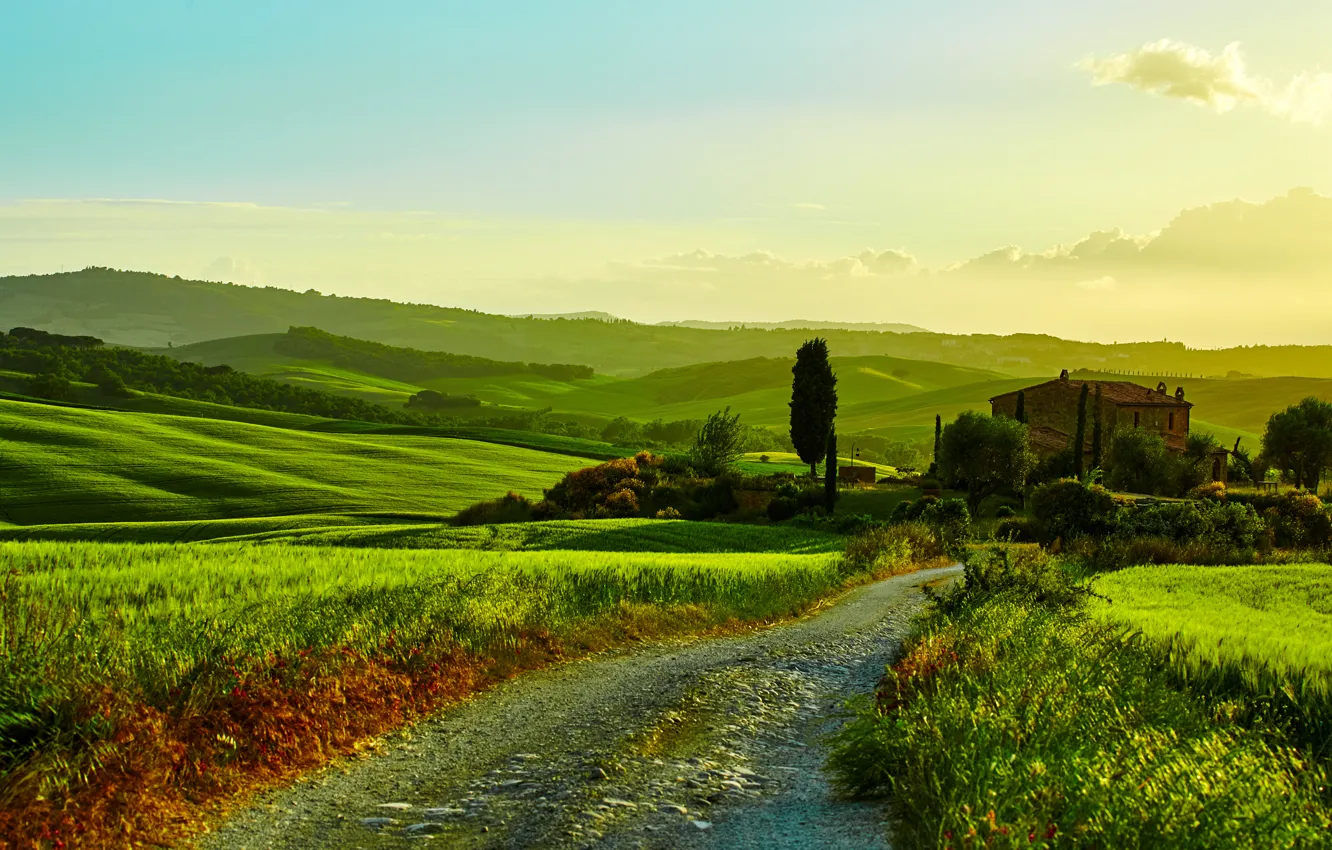 Photo wallpaper road, greens, grass, trees, house, field, Italy, the bushes