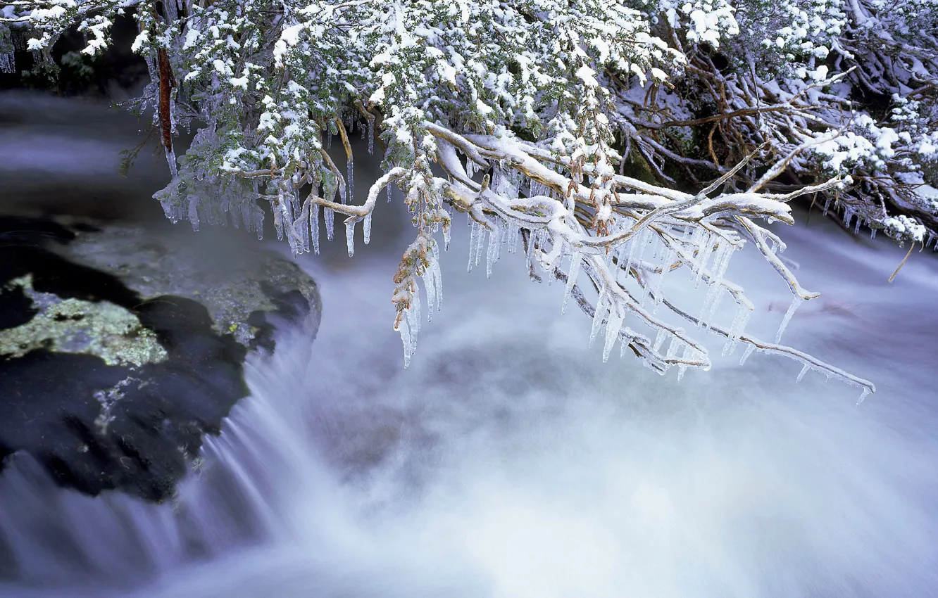 Photo wallpaper ice, winter, branches, river, stream, Australia, Kosciuszko national Park