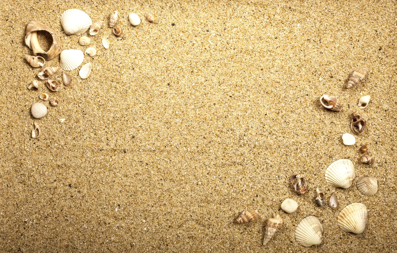 Photo wallpaper beach, texture, sand, marine, seashells, sand seashells