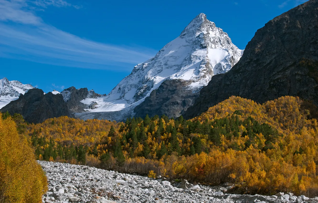 Photo wallpaper autumn, forest, mountains, stones, top, Russia, Kabardino-Balkaria, The Caucasus mountains