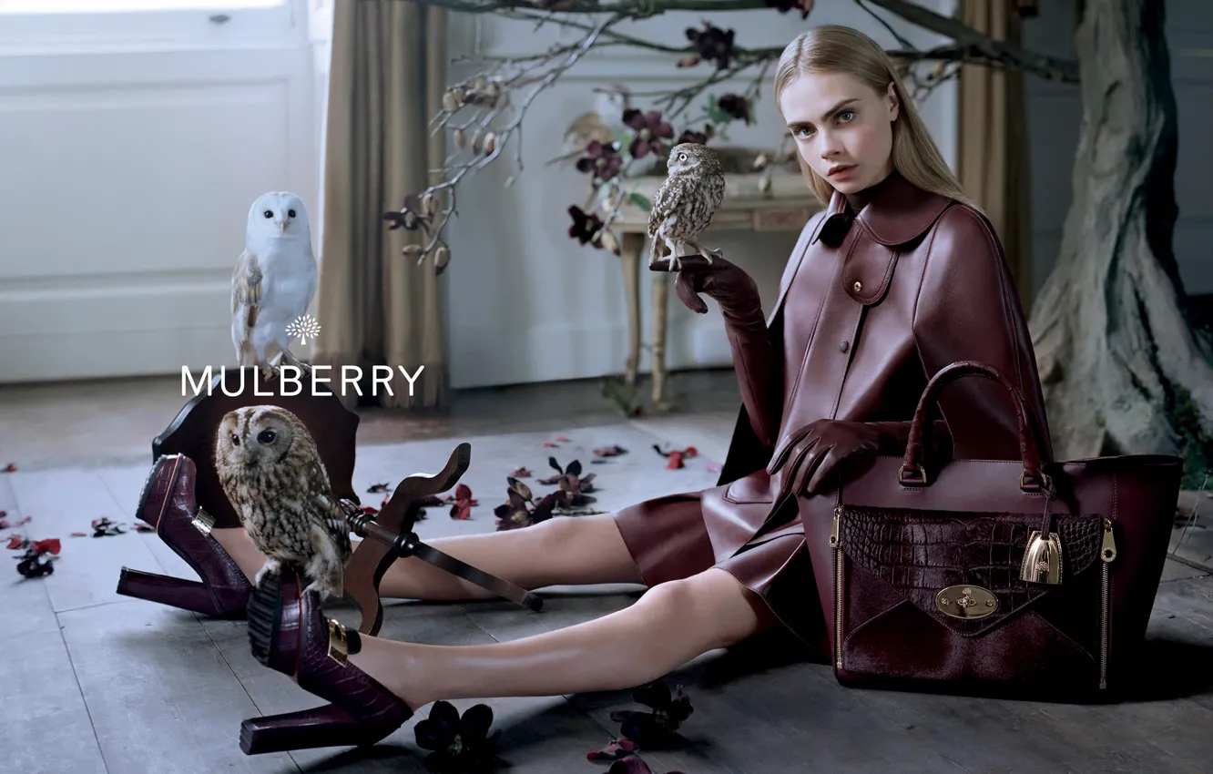 Photo wallpaper owl, leather, handbag, brand, Mulberry, Cara Delevingne