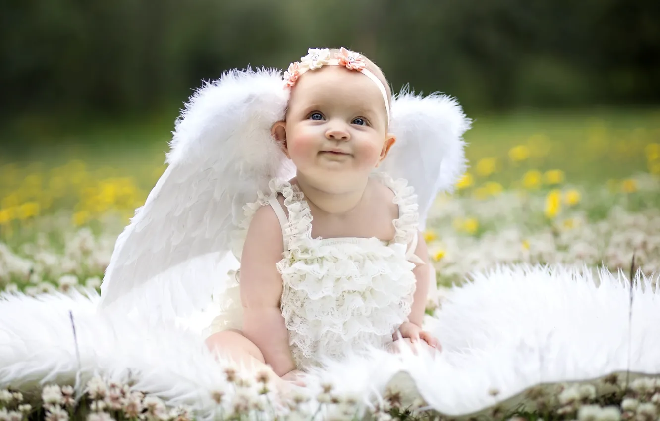 Photo wallpaper wings, angel, girl, baby, wreath, funny