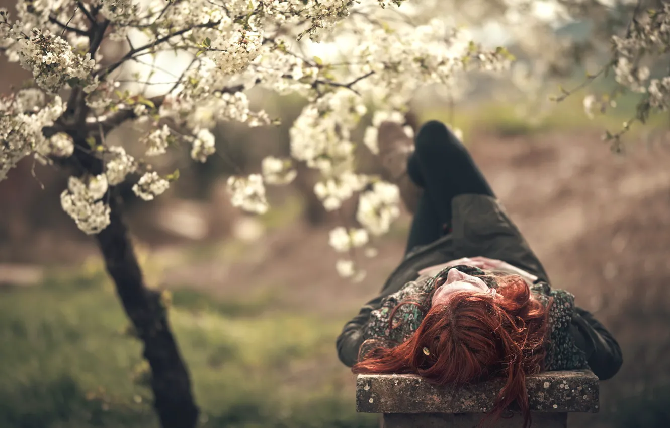 Photo wallpaper girl, spring, garden, bench