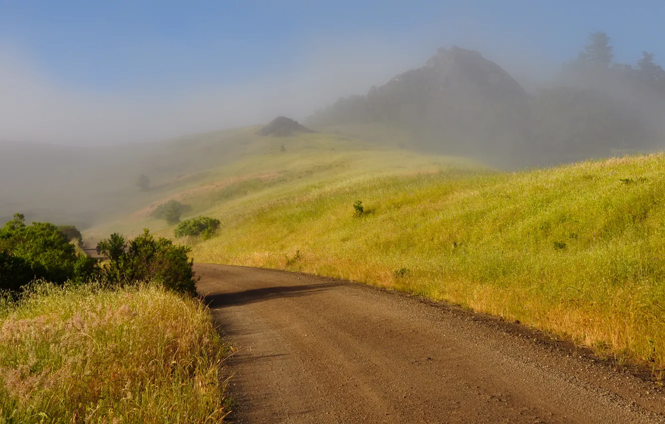 Photo wallpaper mountains, nature, fog, morning