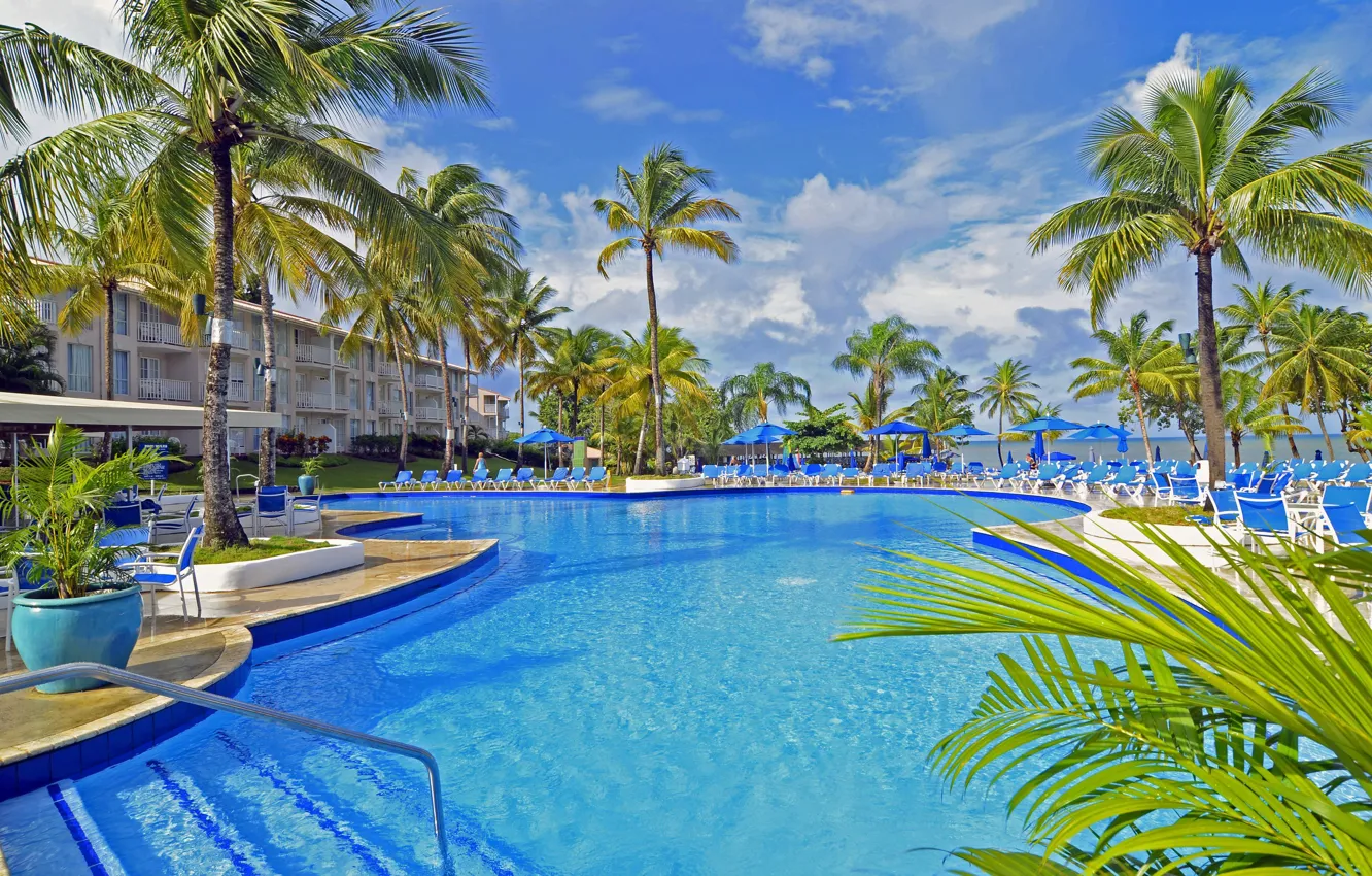 Photo wallpaper palm trees, pool, pool, resort, Caribbean, Caribbean, St.Lucia, beach resort