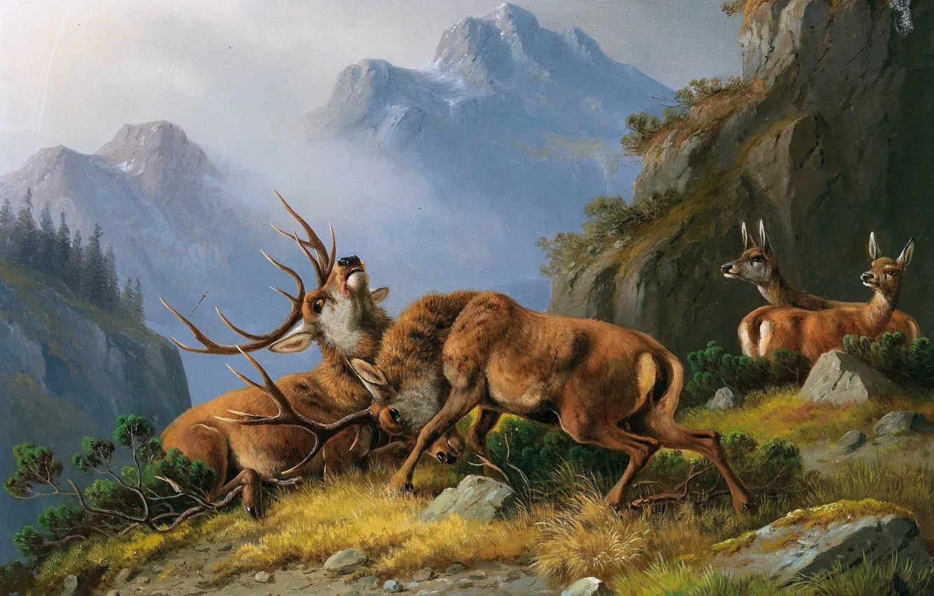 Photo wallpaper mountains, fight, picture, deer, fight, German animal painter, Moritz Muller, Moritz Muller