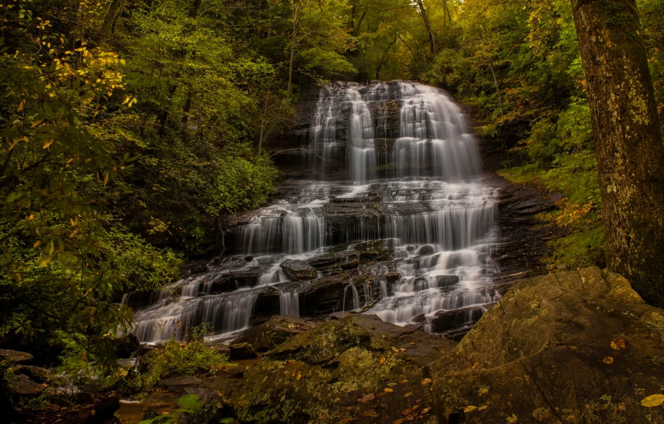 Photo wallpaper autumn, forest, waterfall, cascade, North Carolina, North Carolina, Pearson's Falls, Saluda