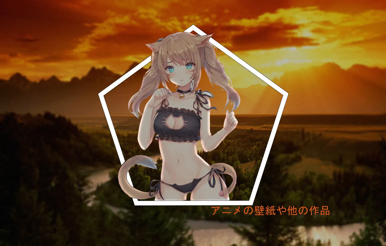 Photo wallpaper girl, sunset, anime, neko, anime, madskillz