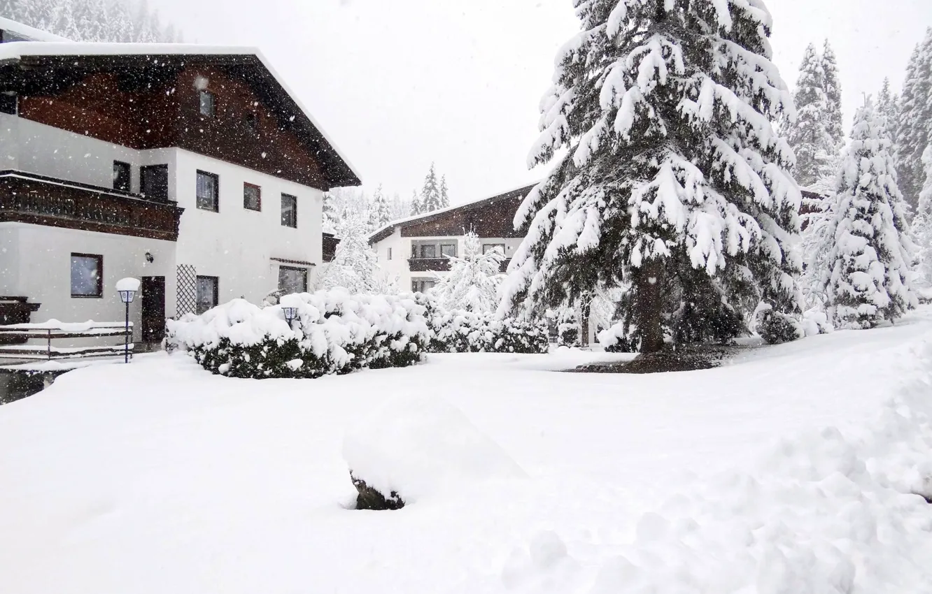 Photo wallpaper winter, snow, home, Austria, winter, snow, Snow trees, home
