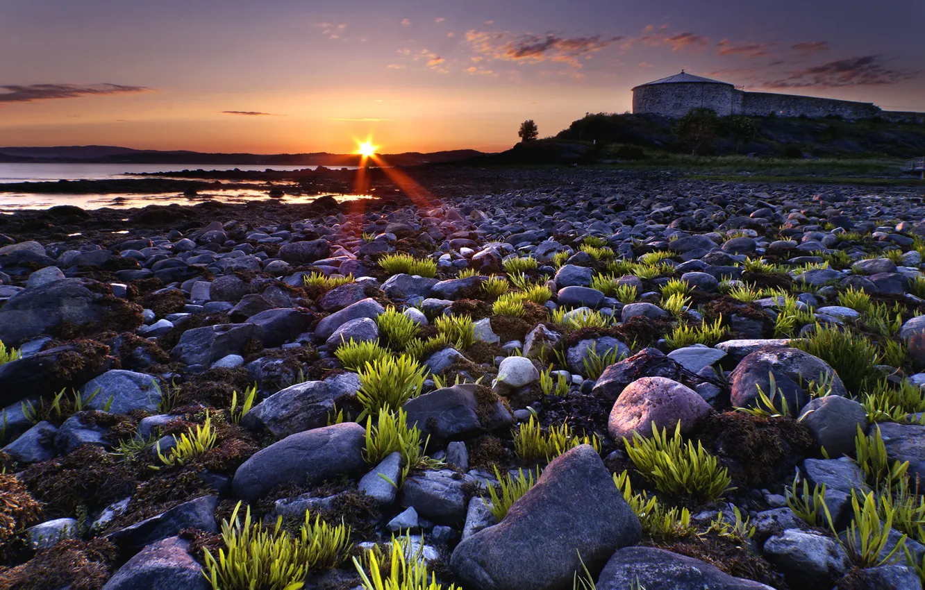 Photo wallpaper grass, the sun, rays, stones, shore