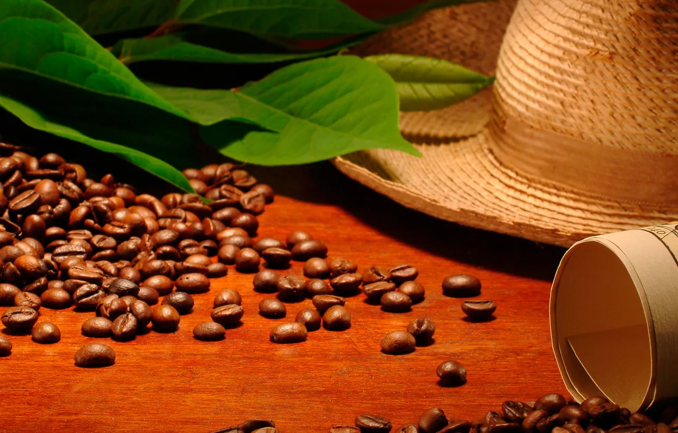 Photo wallpaper map, hat, leaf, bag, hat, coffee beans, leaves, map