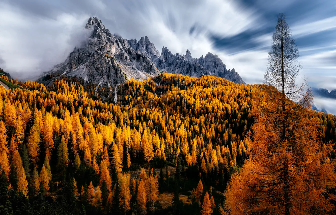 Photo wallpaper autumn, clouds, trees, mountains, Italy, Dolomites