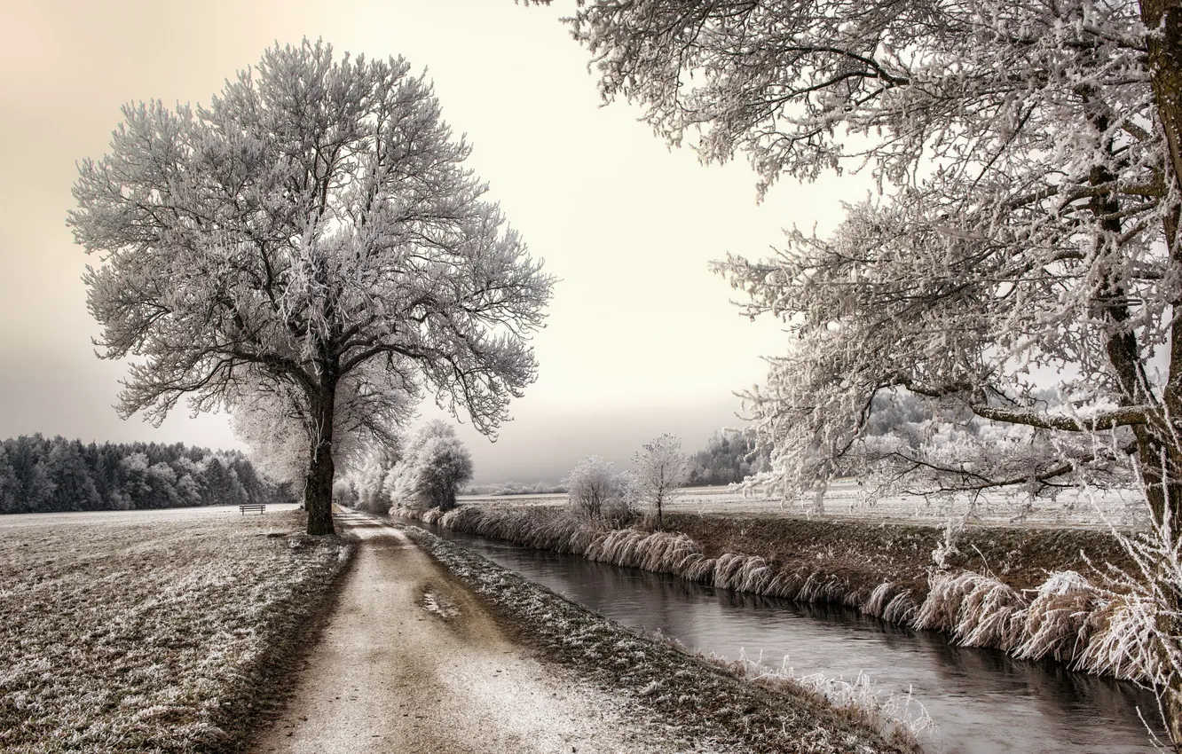 Photo wallpaper frost, road, trees, landscape, channel