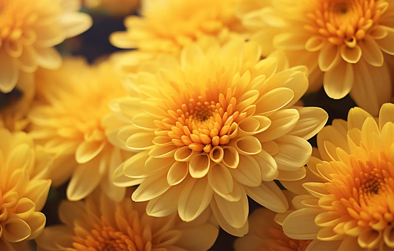 Photo wallpaper yellow, flowers, macro, AI art, chrysanthemum, neural network