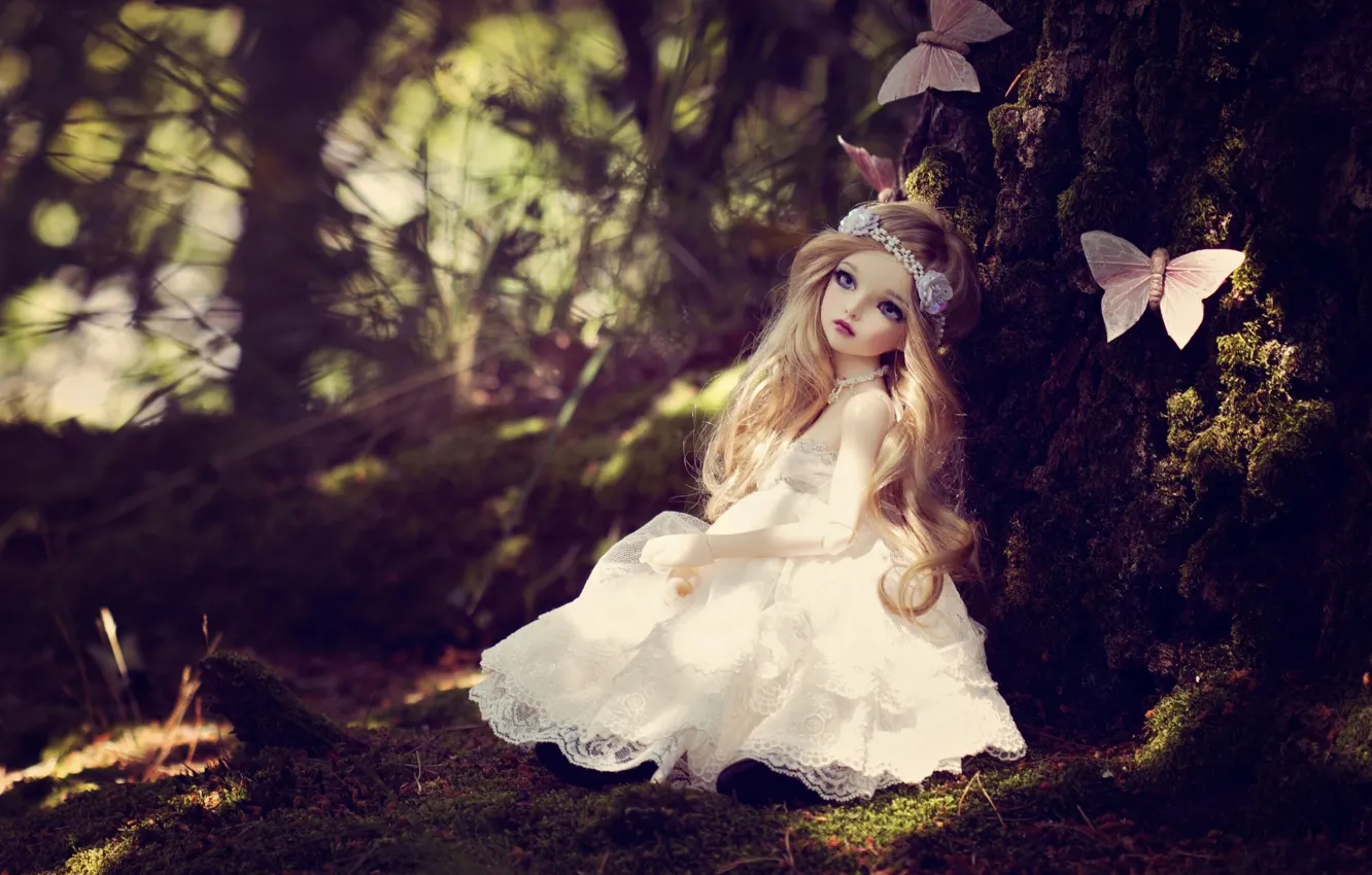 Photo wallpaper butterfly, toy, doll