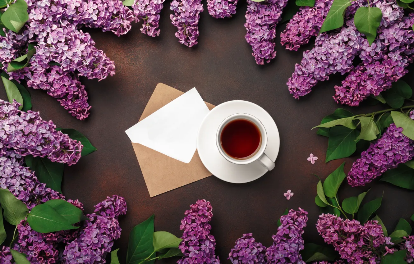 Photo wallpaper flowers, flowers, lilac, romantic, coffee cup, spring, purple, lilac