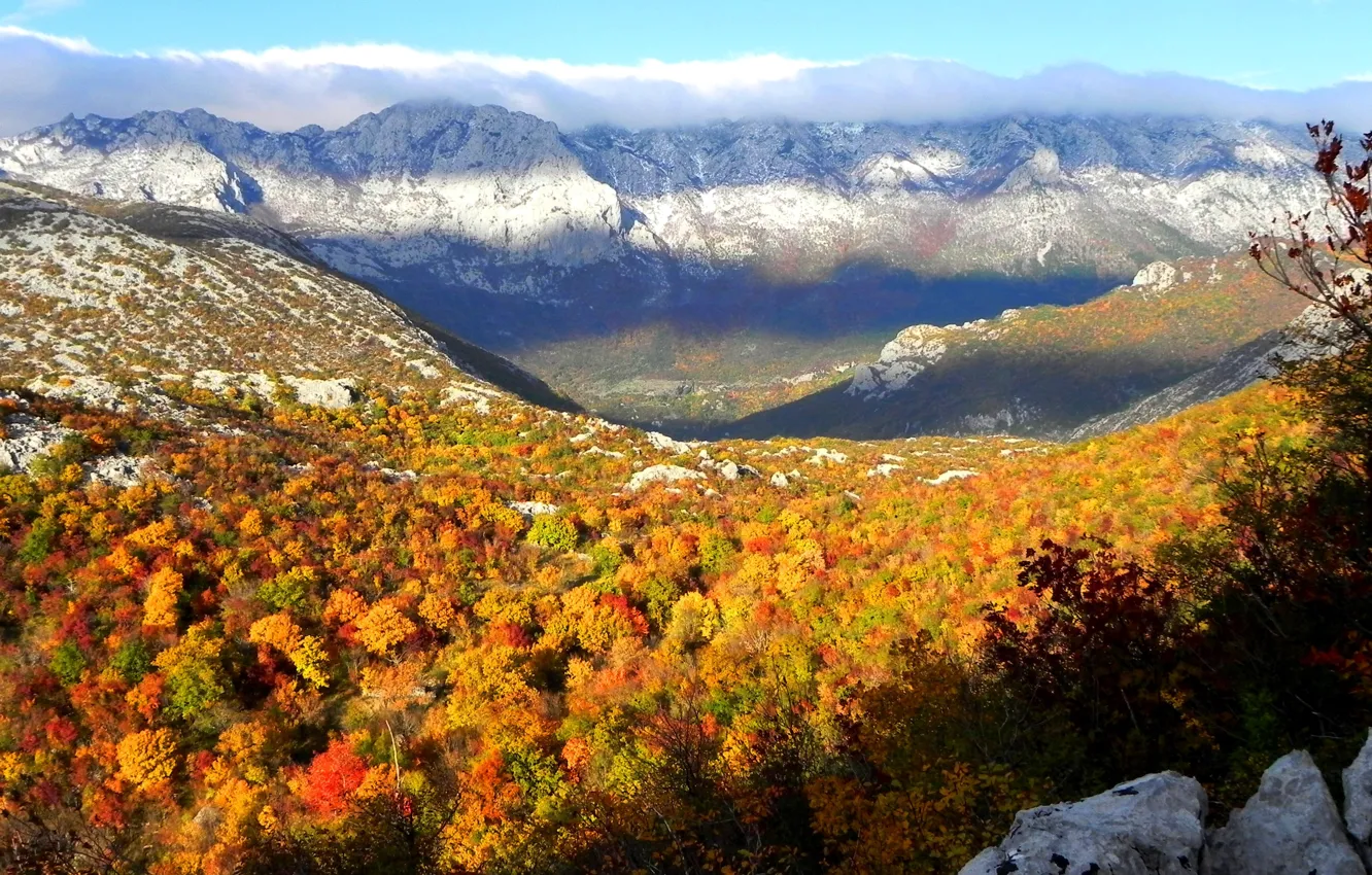 Photo wallpaper autumn, forest, trees, mountains, tops, The sky, forest, trees
