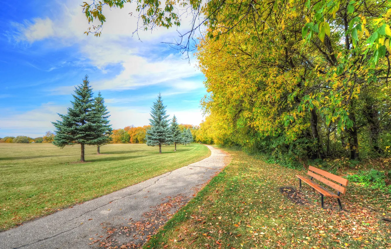 Photo wallpaper autumn, the sky, grass, clouds, trees, bench, nature, Park