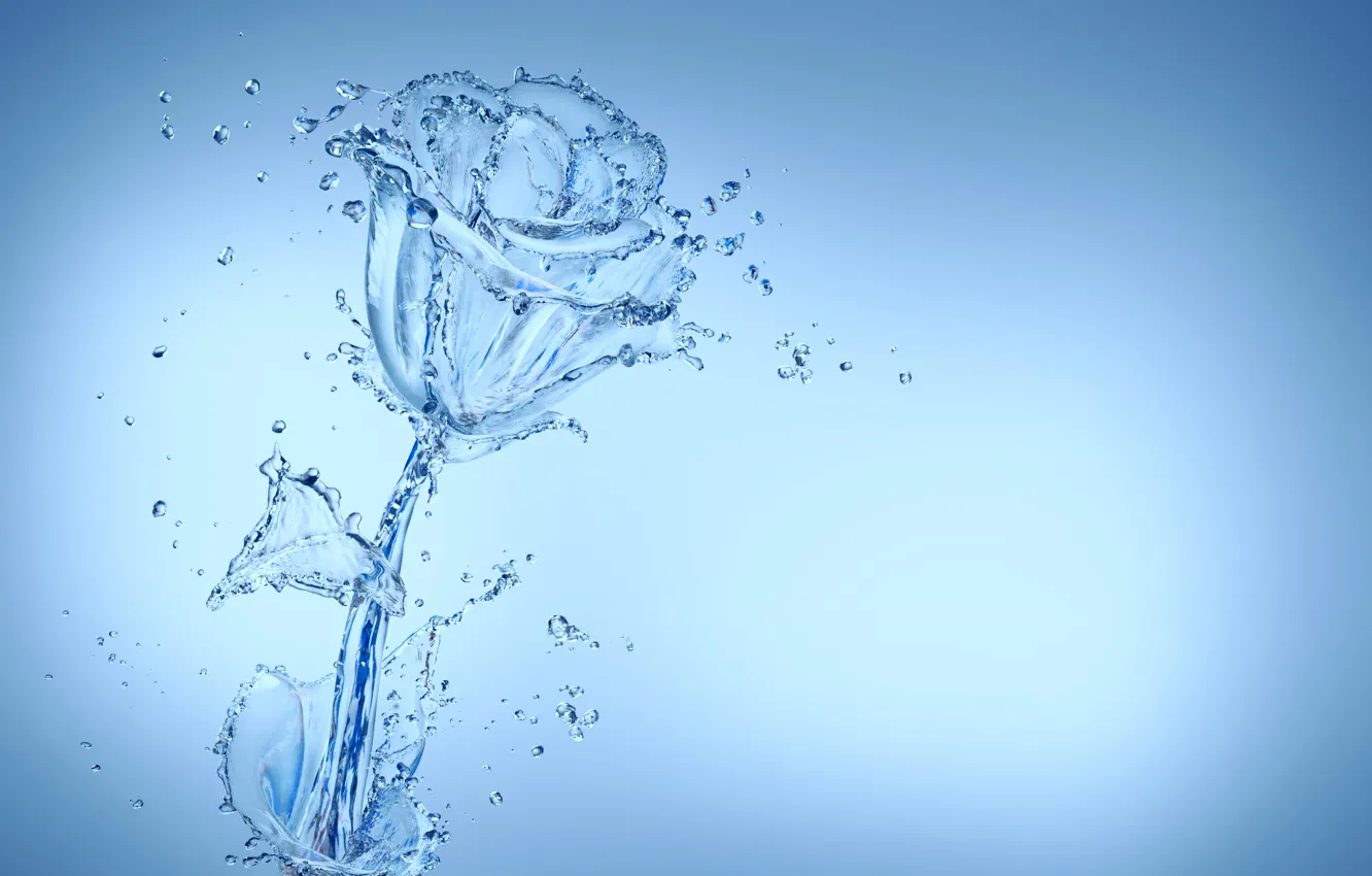 Photo wallpaper water, drops, flowers, blue, roses
