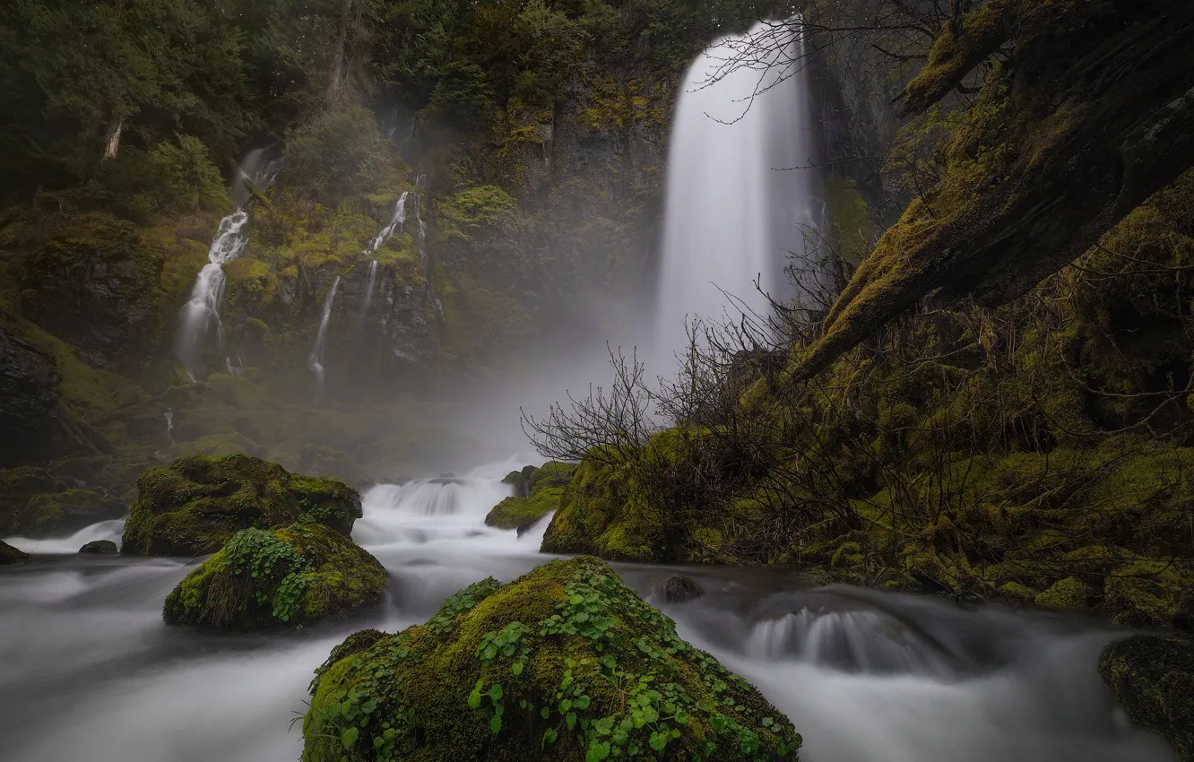 Photo wallpaper forest, river, stones, moss, waterfalls, Columbia River Gorge, Washington State, The Columbia river gorge