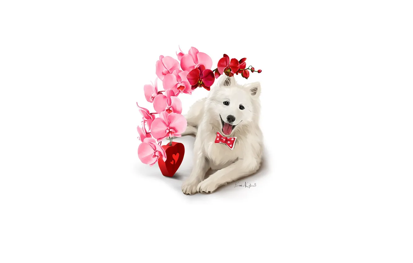 Photo wallpaper flower, dog, white, heart, Orchid