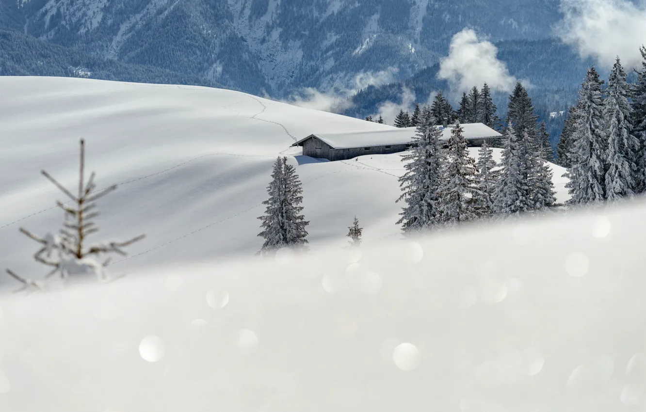 Photo wallpaper winter, frost, forest, snow, mountains, smoke, ate, slope