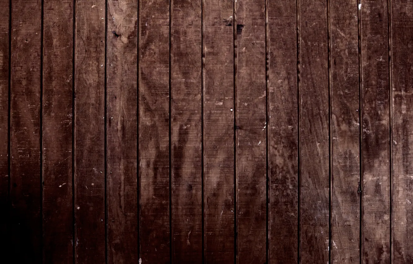 Photo wallpaper trees, texture, brown, textures