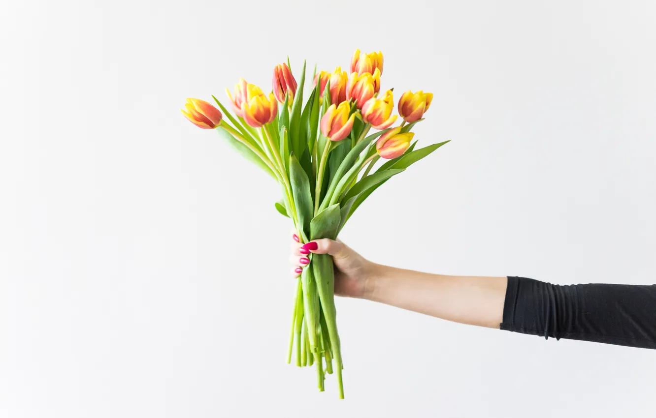 Photo wallpaper flowers, hand, tulips, manicure